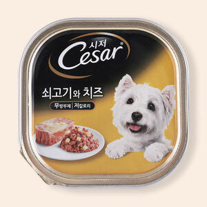 시저 쇠고기와 치즈