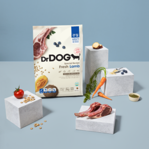 닥터독 관절 사료1kg