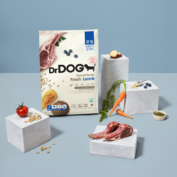 닥터독 관절 사료1kg